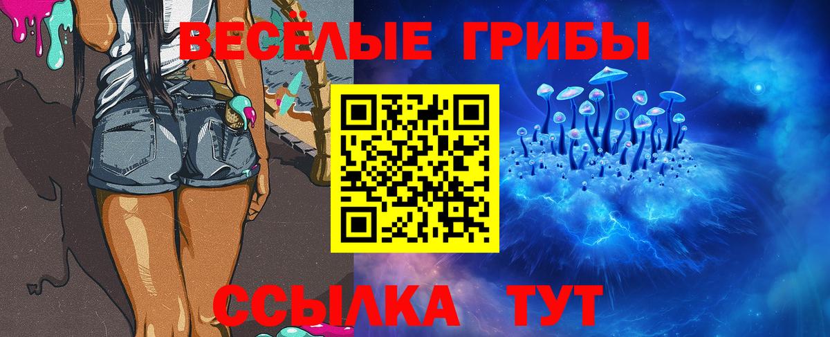 Галлюциногенные грибы Psilocybe Валуйки
