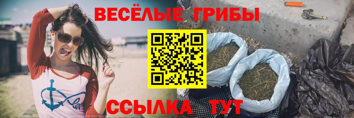 Псилоцибиновые грибы MAGIC MUSHROOMS  Вход с VPN  как найти закладки  Валуйки  Псилоцибиновые грибы Psilocybine cubensis 